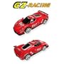 REMOTE CONTROL FERRARI ENZO FXX CAR RC CARS 1:10 COLOR Silver