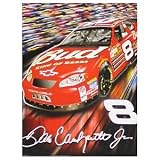 DALE EARNHARDT JR. 50" x 60" NASCAR #8 Logo Super Soft PLUSH BLANKET