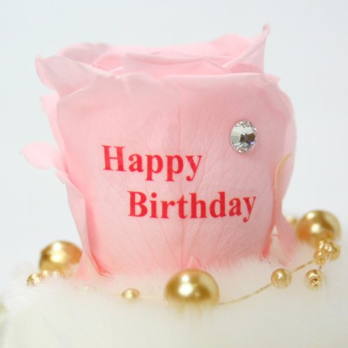 メッセージローズ (Preserved Rose) ローズドーム S1~情熱のラブジャック アトミック~ピンク 【バースデイストーン☆4月】【Happy Birthday】 22243