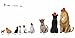 1 to 20, Animals Aplenty