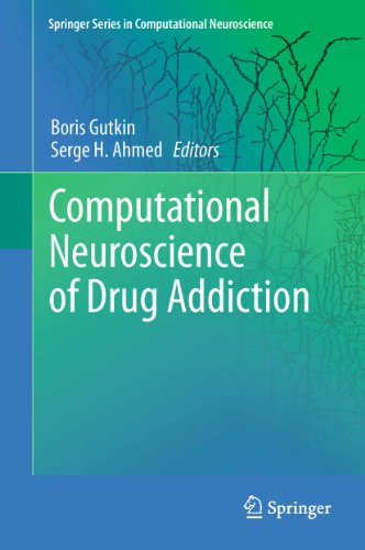 Computational Neuroscience of Drug Addiction: 10 (Springer Series in Computational Neuroscience)