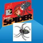 Spider sul filo elastico "scherzo"