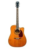 Kansas K-SOLID Dreadnaught Single Cutaway Acoustic Guitar, Cedar
