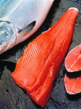 FRESH KING SALMON Fillets (2 POUNDS)