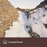 Grounded Sound [RARE]