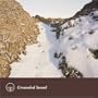 Grounded Sound [RARE]