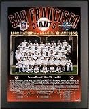 2002 San Francisco Giants National League Champions 11 x 13 Plaque from Healy Pro