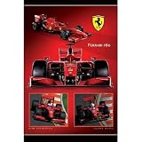 Ferrari F60 - Formula 1 Poster (Kimi Raikkonen, Felipe Massa) (Size: 24 x 36) Poster Print, 24x36