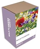 Outdoor Living : Grow It: Wild Flowers