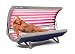 Sunquest Wolff 16RS Tanning Bed