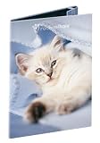 Rupert - White Cat Flap Folder by Rachael Hale