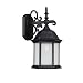 Capital Lighting 9833BK Main Street 1-Light Outdoor Wall Lantern, Black with Seeded Glass