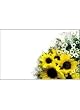 50 Memo/Enclosure/Floral/Gift Cards - Sunflower (MC2047)