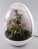 Newo USB Greenhouse