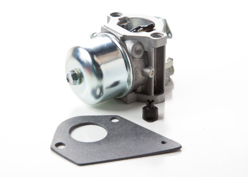 Briggs & Stratton 698171 Carburetor Replacement for Model 697594 On Sale