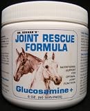 DR. BUSSAN'S Glucosamine+ Joint Rescue Formula for Horses 32 oz