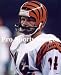 Ken Anderson Cincinnati Bengals 8x10 Photo