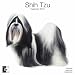 shih_tzu2shih tzu - Shih Tzu 2010 Wall Calendar