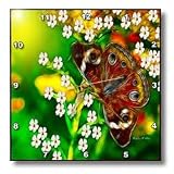 SmudgeArt Butterfly Designs - Buckeye Butterfly - Wall Clocks