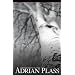 Silver Birches: A Novel
