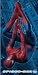 Spiderman 3 Beach / Bath Towel Image