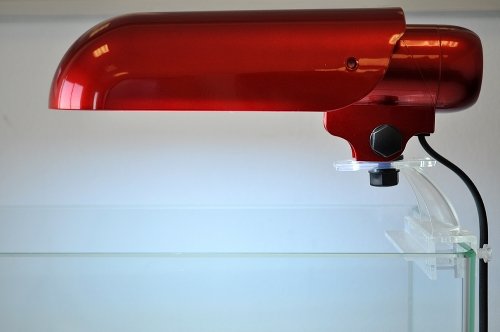 CL26SL: Finnex Aquarium Nano Refugium Cliplight including 3U Blue White Bulb & Moonlight LED - SILVER GREY CL26SL: Finnex Aquarium Nano Refugium Cliplight including 3U Blue White Bulb & Moonlight LED - SILVER GREY