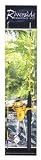 Riverside rod and reel fishing set NEW