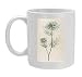 Photo Mugs of Plants/nigella Damascena from Mary Evans