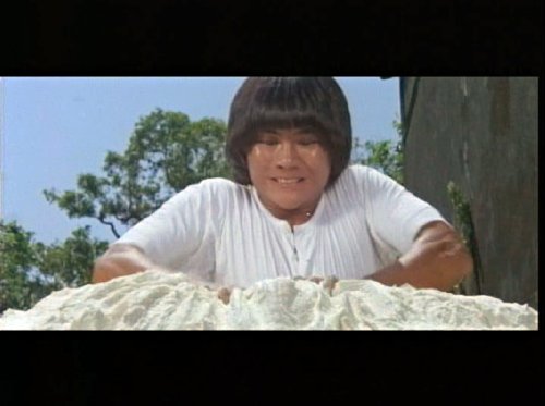 カンフー仁義~復讐の刃~(原題:空手入白刃) [DVD]