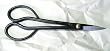 Joshua Roth Satsuki Hassami Bonsai Shears 1164
