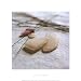 (13x13) Celia Pearson Sea Glass Pink Art Print Poster
