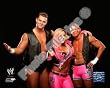 Hart Dynasty WWE 8x10 Photo