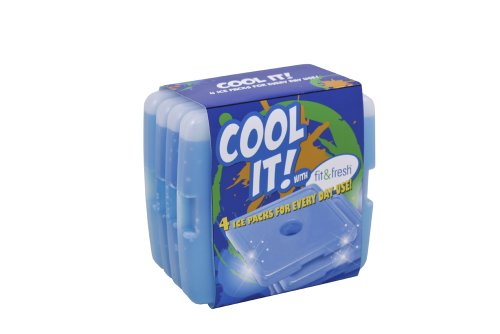 Fit & Fresh Cool Coolers Ice Packs Set Of 4