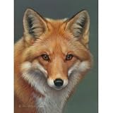 Red Fox Plush Raschel Queen Size Super Soft Blanket 79x95