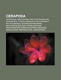 Cerapoda: Ceratopsia, Ornithopoda, Pachycephalosauria, Triceratops, Thescelosaurus, Styracosaurus, Psittacosaurus, Heterodontosauridae (Spanish Edition)