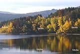 Wallmonkeys Peel and Stick Wall Decals - Autumn in the Bohemian Forest - 48