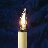 7-Watt Bulbs (Set of 2)