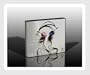 Love And Respect 8 Hour Live Marriage Conference: 9 CD Audio Set