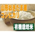 平成23年度産 【 こだわり米 】 「有機栽培米こしひかり」 （ 山形県 )　5kg