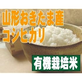 ����23�N�x�Y �y �������� �z �u�L�@�͔|�Ă����Ђ���v �i �R�`�� )�@5kg