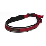 Spindrift Daisy Runner Jogging Dog Leash Belt
