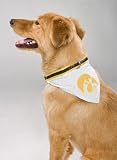 Iowa Hawkeyes Dog Collar Bandana