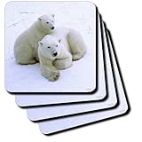 3dRose cst_45685_1 Polar Bear Mother and Cub 'Ursus Maritimus' Churchill, Canada-Soft Coasters, Set of 4