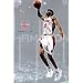 Detroit Pistons (Richard Hamilton) Sports Poster Print - 24x36