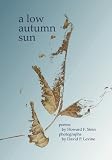 A Low Autumn Sun