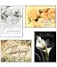 Scripture Greeting Cards-KJV-Boxed-Anniversary - "Celebration of Love"