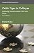 Celtic Tiger in Collapse: Explaining the Weaknesses of the Irish Model (International Political Economy)