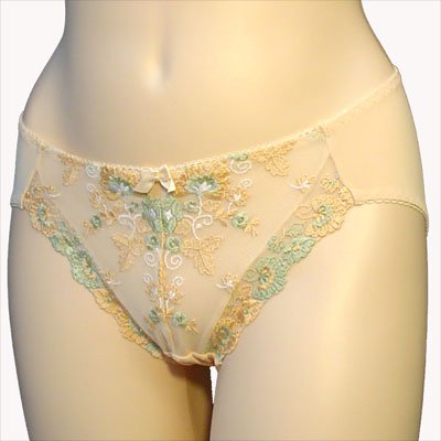 Buy Venus 3 Pack $60 Lite Orange Low Rise Bikini Panty #0011 sz S