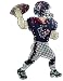 Search : SC Sports Houston Texans Animated Lawn Figure