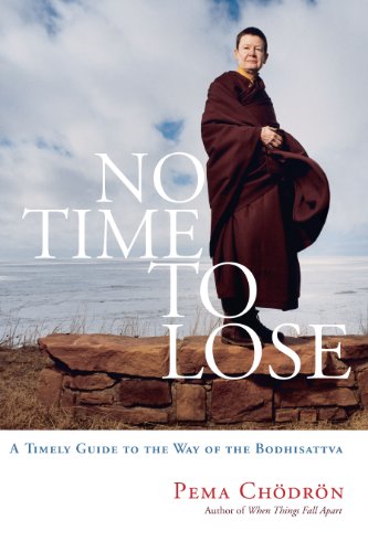No Time to Lose: A Timely Guide to the Way of the Bodhisattva Book Image